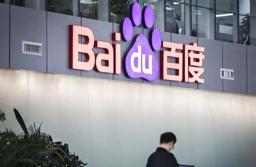 如何选择合适的服务器来搭建蜘蛛池