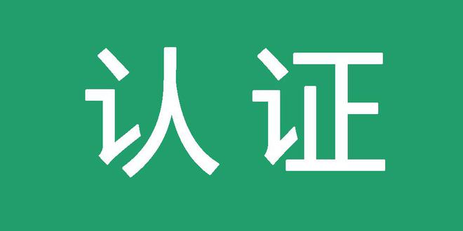 蜘蛛池域名如何选